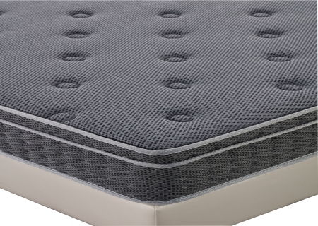 老人系列- 竹柏