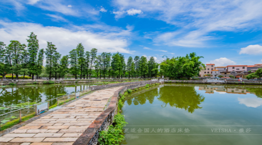 廣東佛山-南海丹灶聚星里民宿